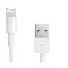 Cable Origine Apple Blanc